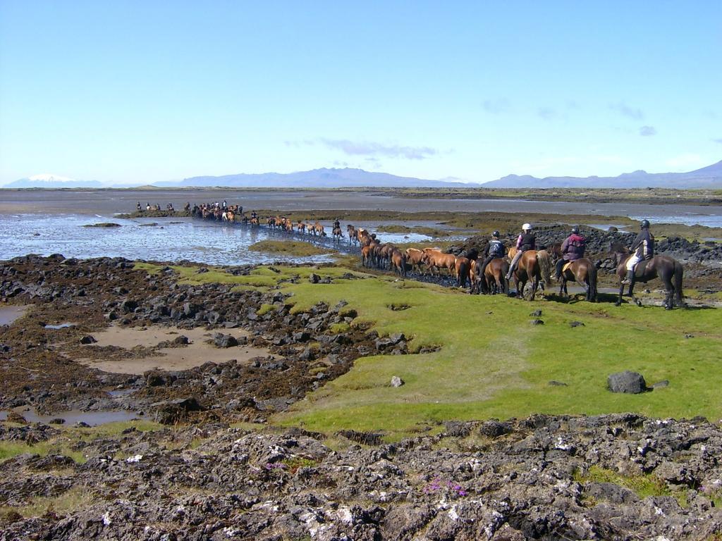 Snorrastadir Farm Holidays Borgarnes Esterno foto