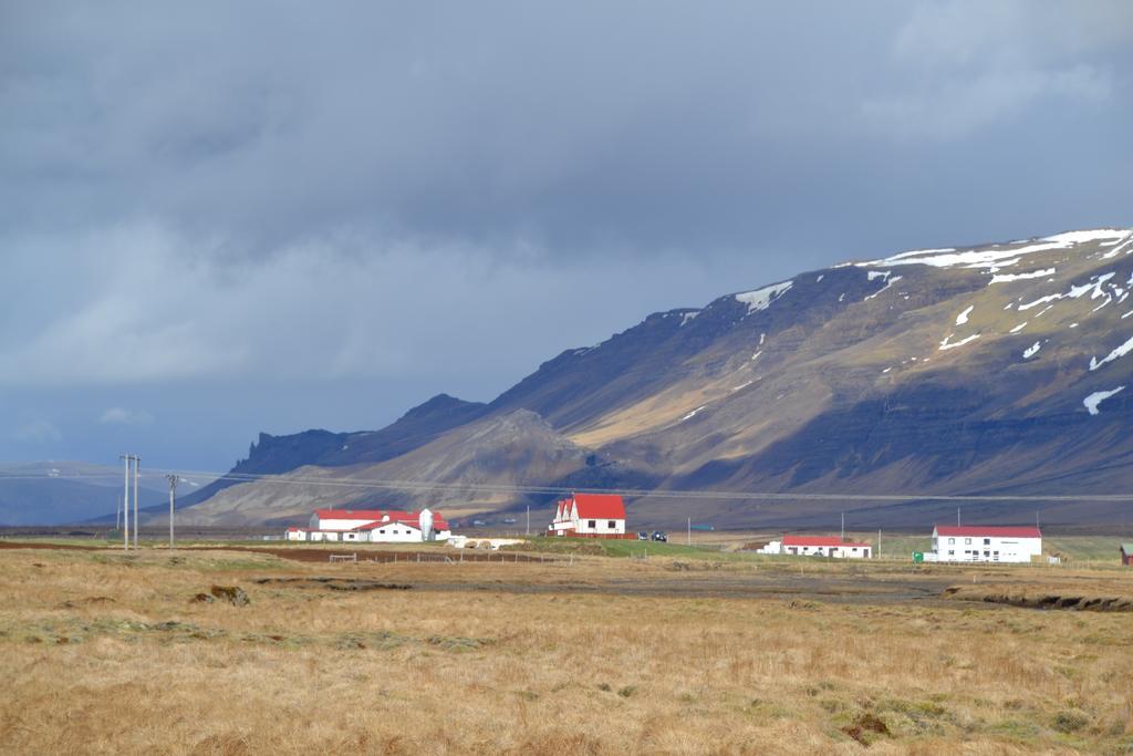 Snorrastadir Farm Holidays Borgarnes Esterno foto